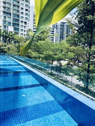 M21 (D11), Apartment #202681742